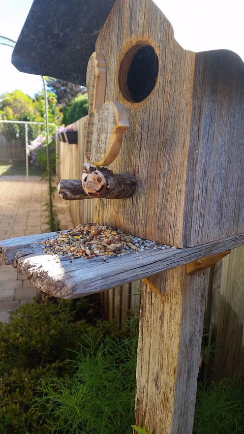 Driftwood-Cottage - Kempsey Accommodation 29