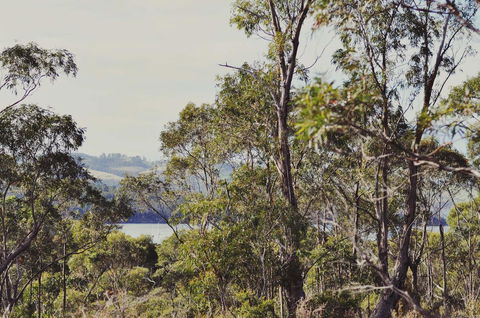 Oyster Cove Chalet - Kempsey Accommodation 17