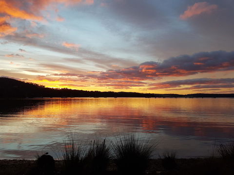 Oyster Cove Chalet - Kempsey Accommodation 10