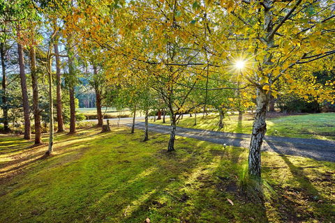 Oyster Cove Chalet - Kempsey Accommodation 1