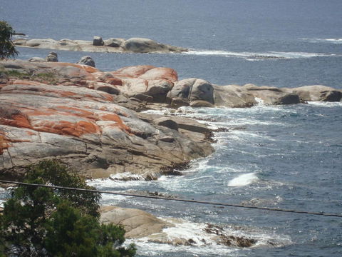 Suntrap Cove Bicheno - Kempsey Accommodation 28