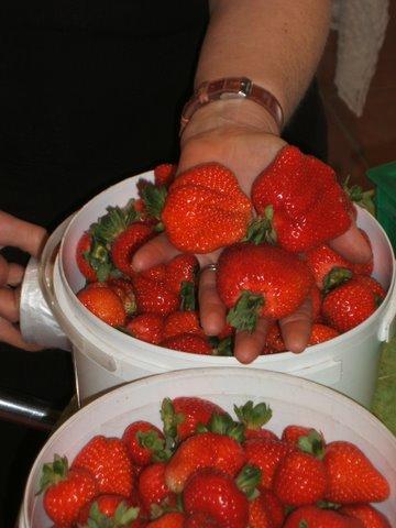 Eureka Farm - Kempsey Accommodation 17