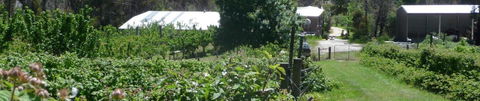 Eureka Farm - Kempsey Accommodation 25