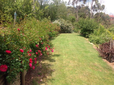 Sheer Pleasure Accommodation - Kempsey Accommodation 7
