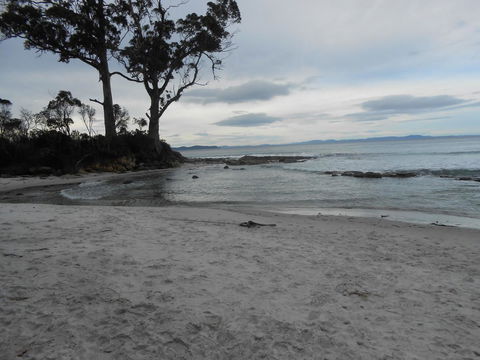 Bruny Ocean Cottage - Kempsey Accommodation 7