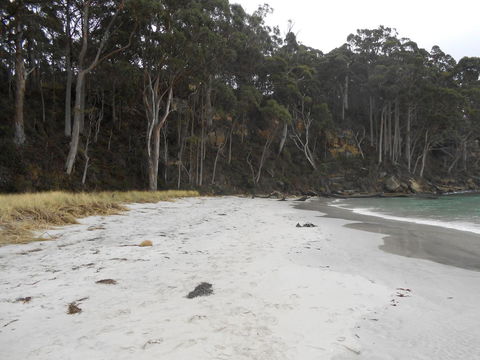 Bruny Ocean Cottage - Kempsey Accommodation 12