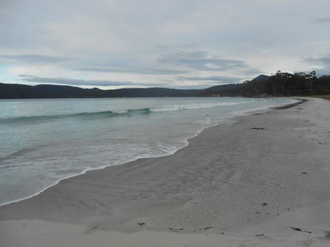 Bruny Ocean Cottage - Kempsey Accommodation 11