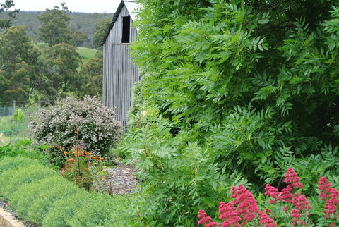 Hamlet Downs Country Accommodation - Kempsey Accommodation 19