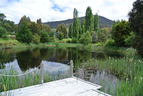 Hamlet Downs Country Accommodation - Kempsey Accommodation 12