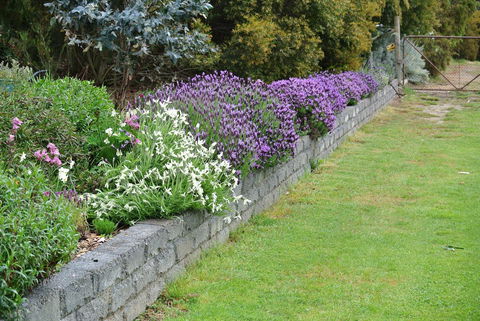 Hamlet Downs Country Accommodation - Kempsey Accommodation 14