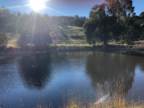 Hamlet Downs Country Accommodation - Kempsey Accommodation 8