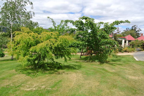Hamlet Downs Country Accommodation - Kempsey Accommodation 21