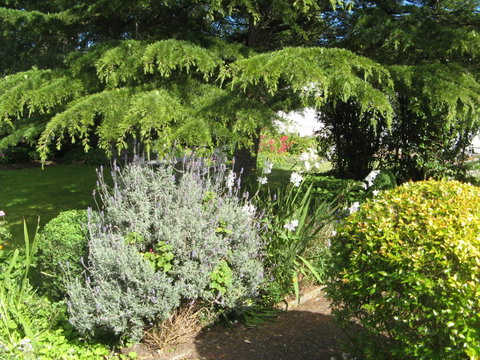 The Grove Cottages - Kempsey Accommodation 12