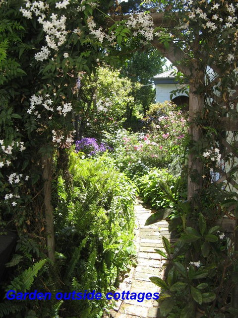 The Grove Cottages - Kempsey Accommodation 3
