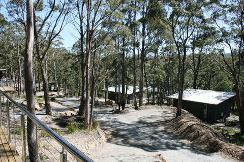 Craggy Peaks Wilderness Cabins - Kempsey Accommodation 22