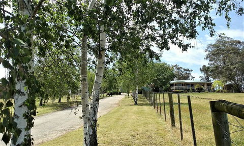Nicholson BnB And Arts Centre - Kempsey Accommodation 0
