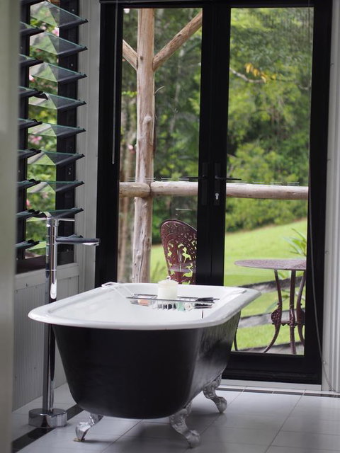 Nightcap Ridge - Byron Bay Hinterland - Kempsey Accommodation 3