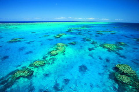 NRMA Cairns Holiday Park - Kempsey Accommodation 1