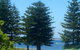 Ocean Vista Beach Stay - thumb 2