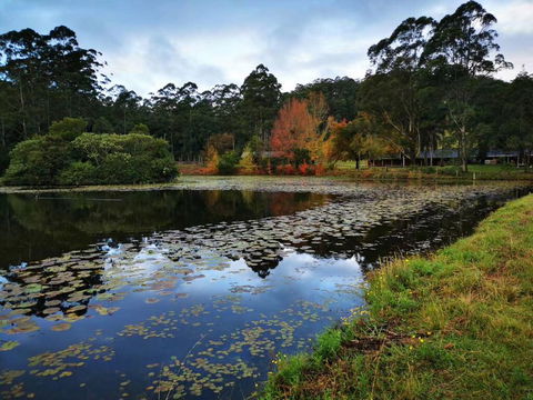 OCT Forest Lodge - Kempsey Accommodation 2
