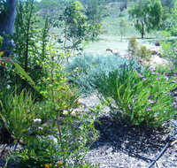 Old Miners' Cottages Bed and Breakfast - Kempsey Accommodation