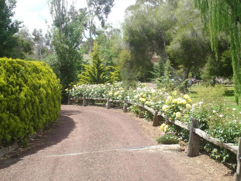 Olde Horsham Motor Inn - Kempsey Accommodation 1