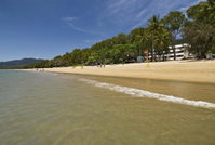 On Palm Cove Beachfront Apartments