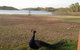 Overlander Hotel - thumb 2