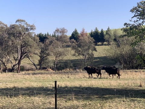 OConnell Retreat BnB - Kempsey Accommodation 1