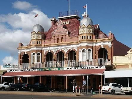 Paddys Golden Patch - Kempsey Accommodation 3