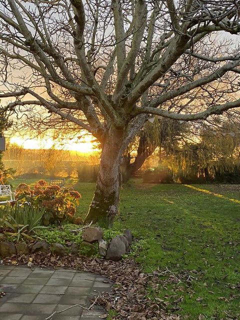 Peg Cottage - Kempsey Accommodation 0