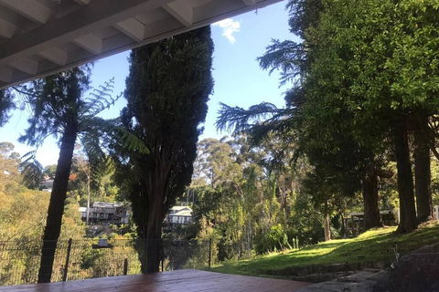 Pine Hill Cottage Acreage In Nature Trees Views Mid Katoomba Leura - Kempsey Accommodation 3