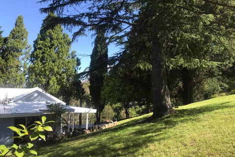 Pine Hill Cottage Acreage In Nature Trees Views Mid Katoomba Leura - Kempsey Accommodation 1