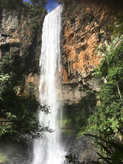 Purling Brook Falls Gwongorella - Kempsey Accommodation 0
