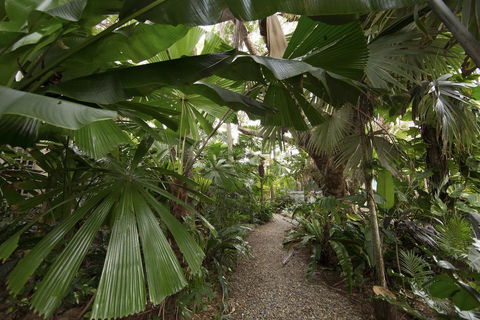 Rainforest Castaways Resort And Spa - Kempsey Accommodation 1