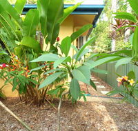 Rainforest Cottage Cairns