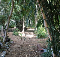 Rainforest Water Front River Shack Secluded. - Kempsey Accommodation