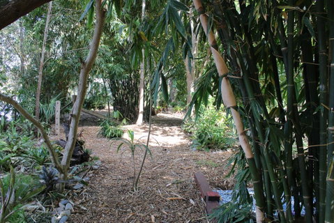 Rainforest, Water Front, River Shack, Secluded. - Kempsey Accommodation 0