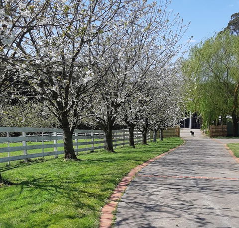 Ray's Farm - Kempsey Accommodation 1