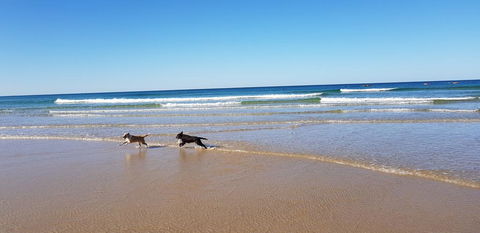 Red Door Beach House - Marcoola Beach - PET FRIENDLY, FOXTEL, WIFI, 500 BOND, Linen Supplied - Kempsey Accommodation 1