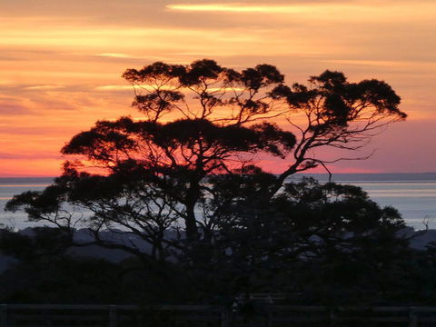 Red Hill Ridge - Kempsey Accommodation 1