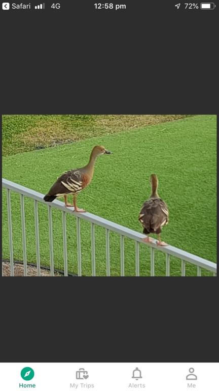 Resort Living - Kempsey Accommodation 3