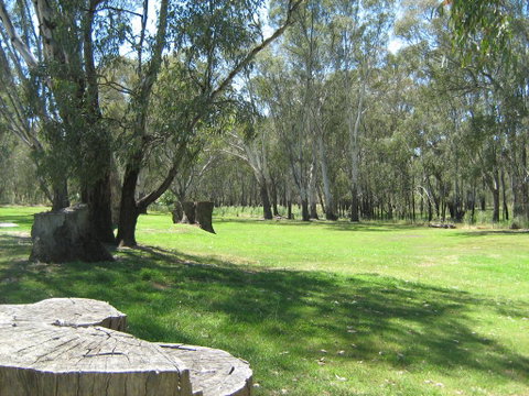 Rivergum Holiday Park - Kempsey Accommodation 2