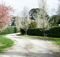 Robin Hill Manor - rambling retreat  tennis court - Kempsey Accommodation