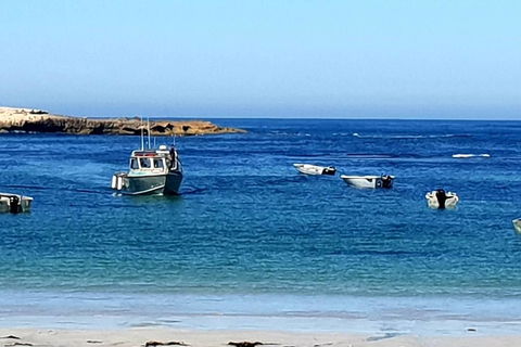 Rocks Retreat Cabin 3 - Lobster - Kempsey Accommodation 2