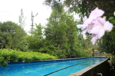 Rosebank Homestead And Farmstay - Kempsey Accommodation 3