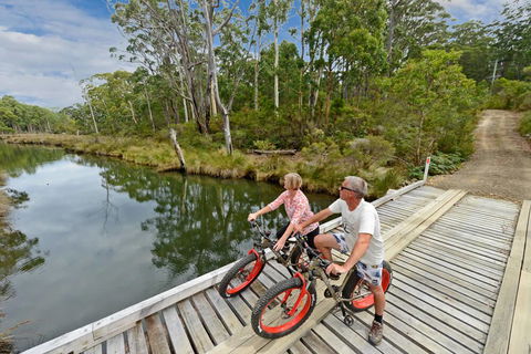 Saintys Creek Cottage - Kempsey Accommodation 2