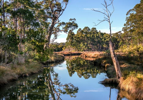 Saintys Creek Cottage - Kempsey Accommodation 3