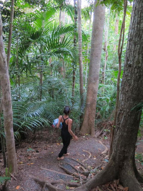 Sanctuary Retreat - Kempsey Accommodation 3
