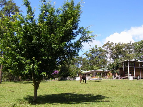 Sapphire Beach Acreage - Kempsey Accommodation 1